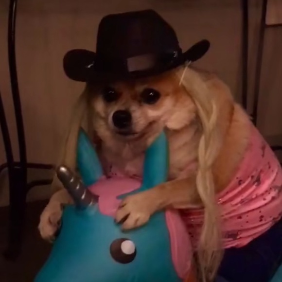 thiccdogmom